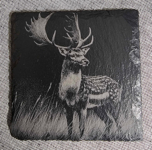 Slate Stone Coasters (4 Pack or 6 Pack)