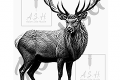 Red-Stag