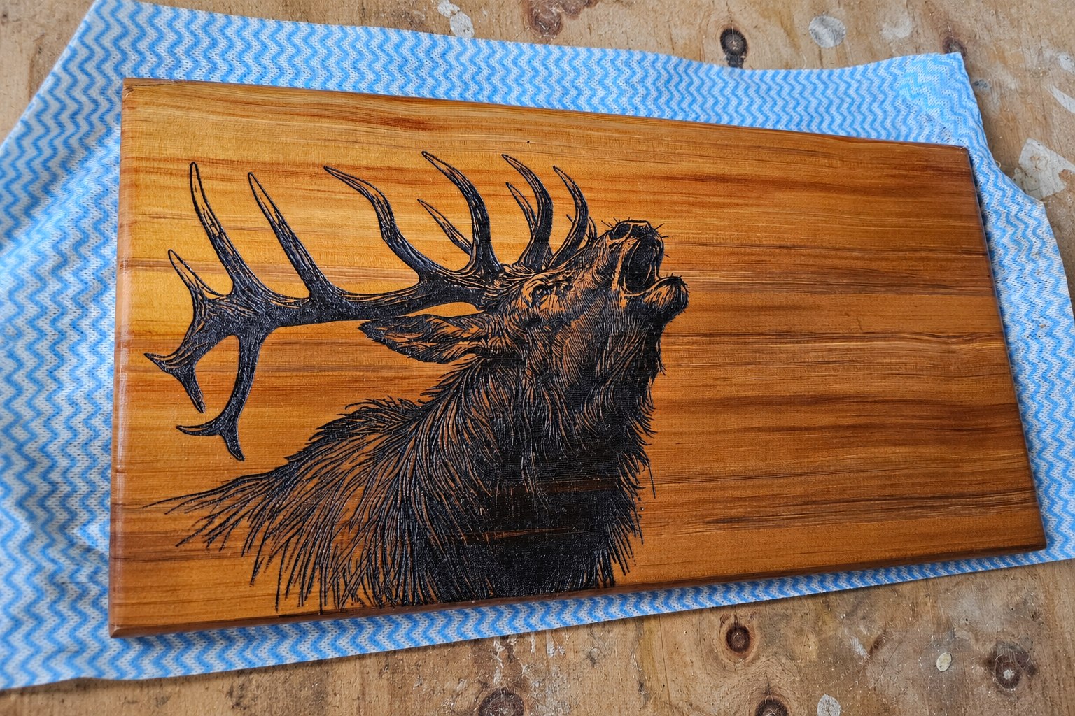 Roaring Stag