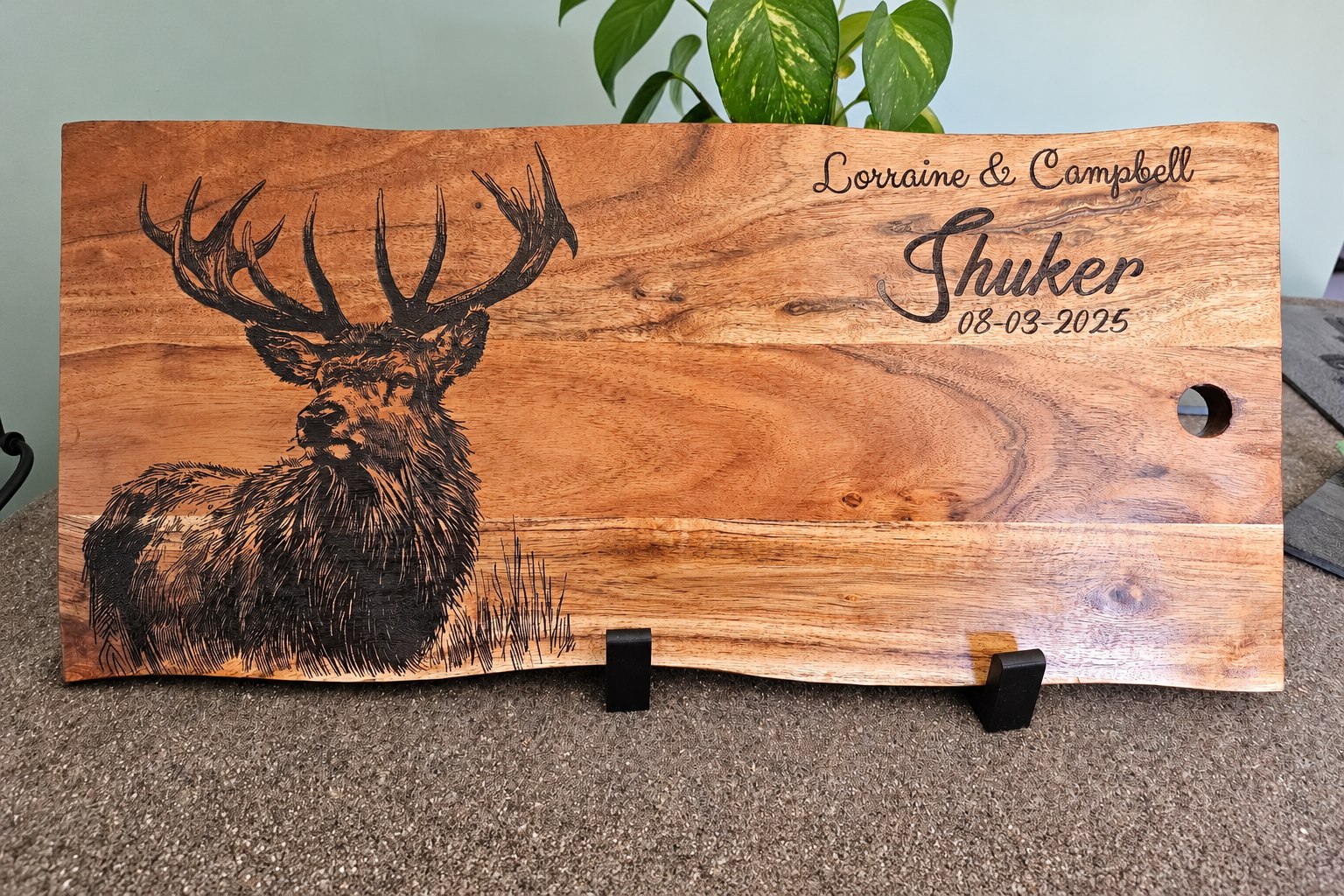 Sketchy Stag