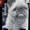 Custom Engraved Ceramic Wall Hanging - Image 4