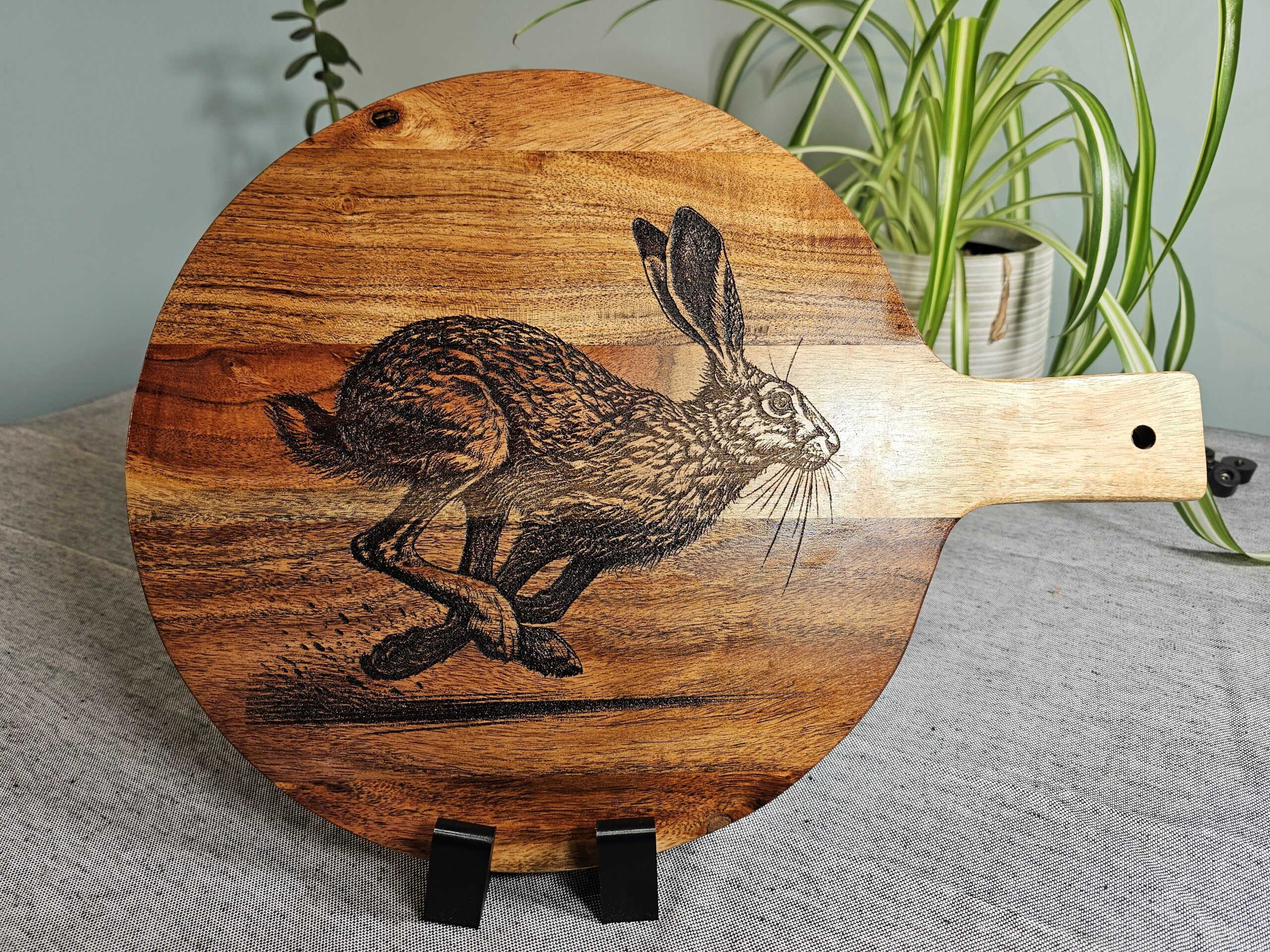 Hares