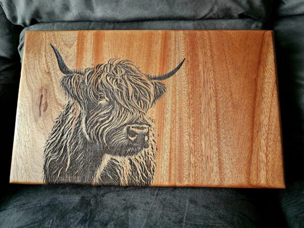 Highland Cattle - Image 4