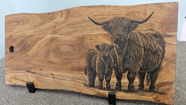Highland Cattle & Calf - Image 2