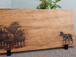 Sheep