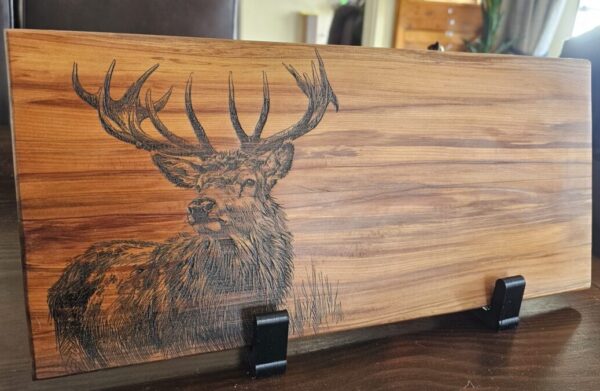 Sketchy Stag - Image 3