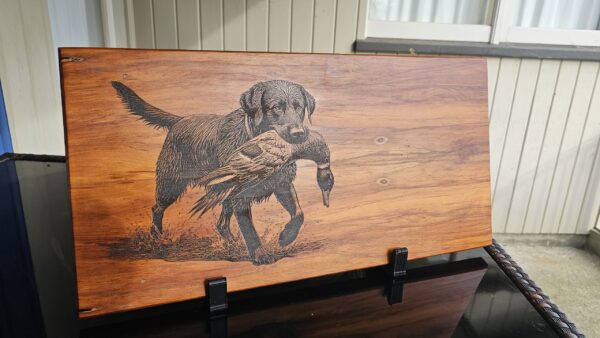 Kurī - Black Lab Duck Dog - Image 2