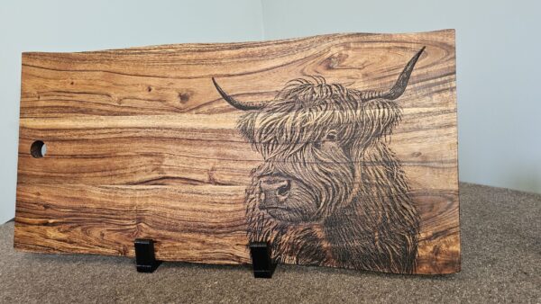 Highland Cattle - Image 8