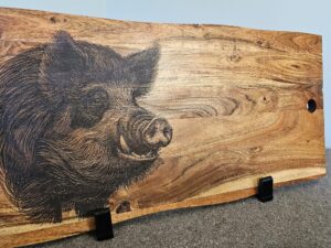 Pigs