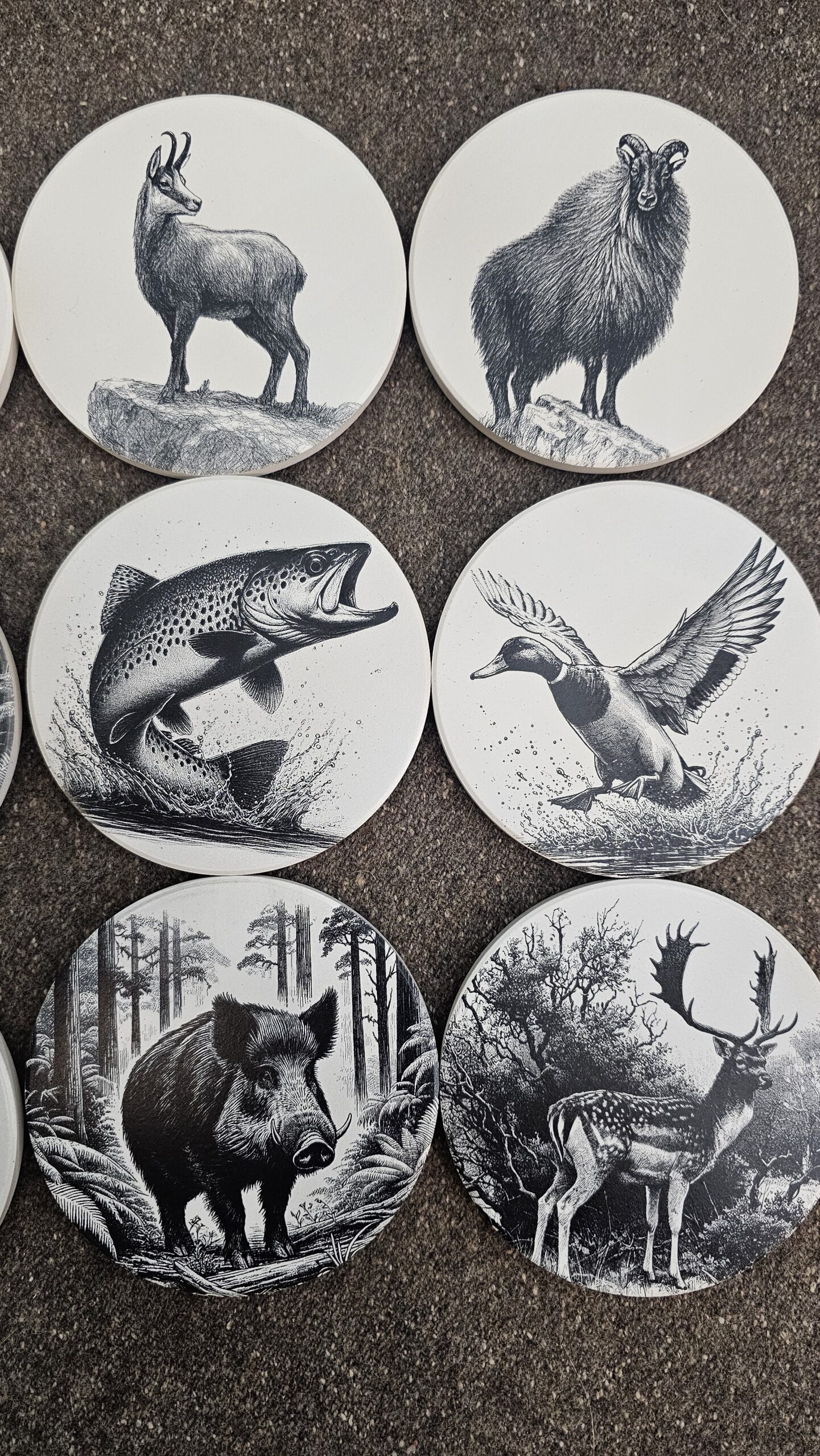 Coasters