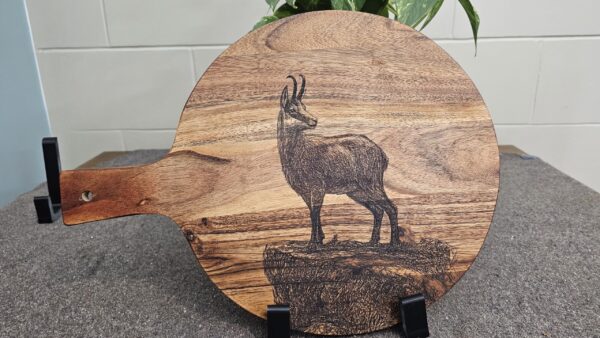 Chamois - Image 2