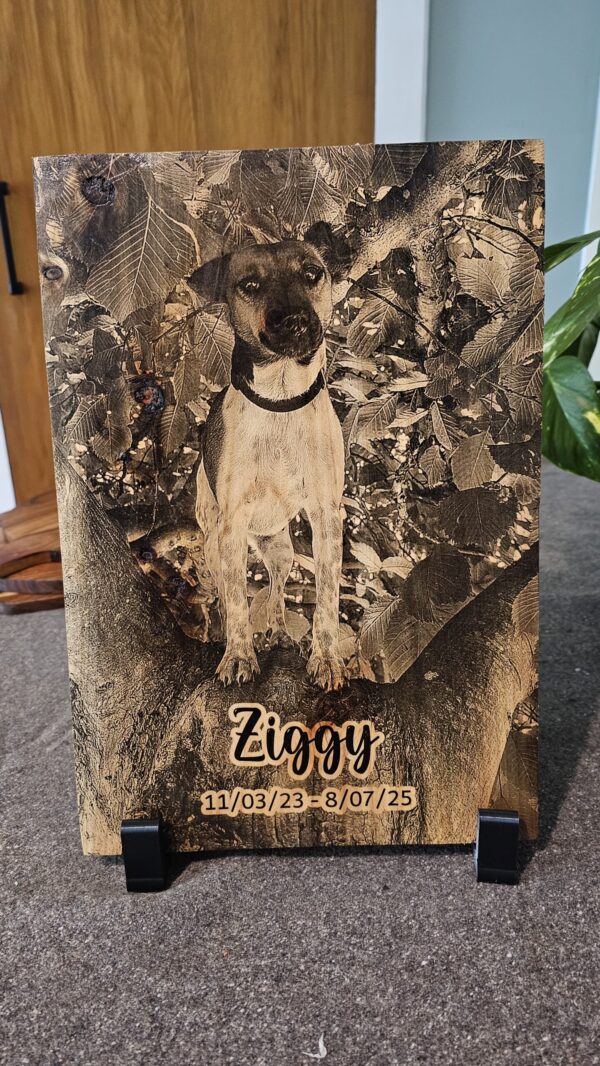 Custom Display Boards - Image 4