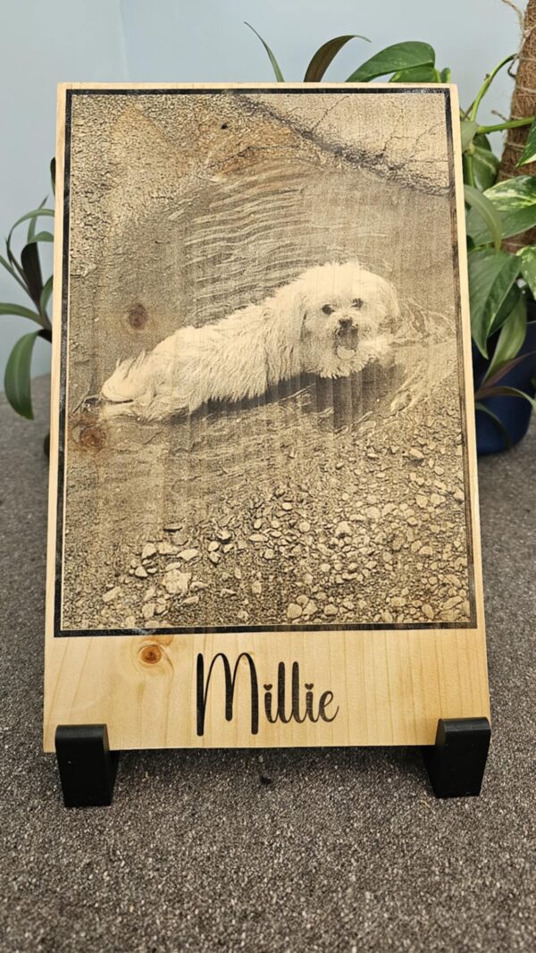 Custom Display Boards - Image 8