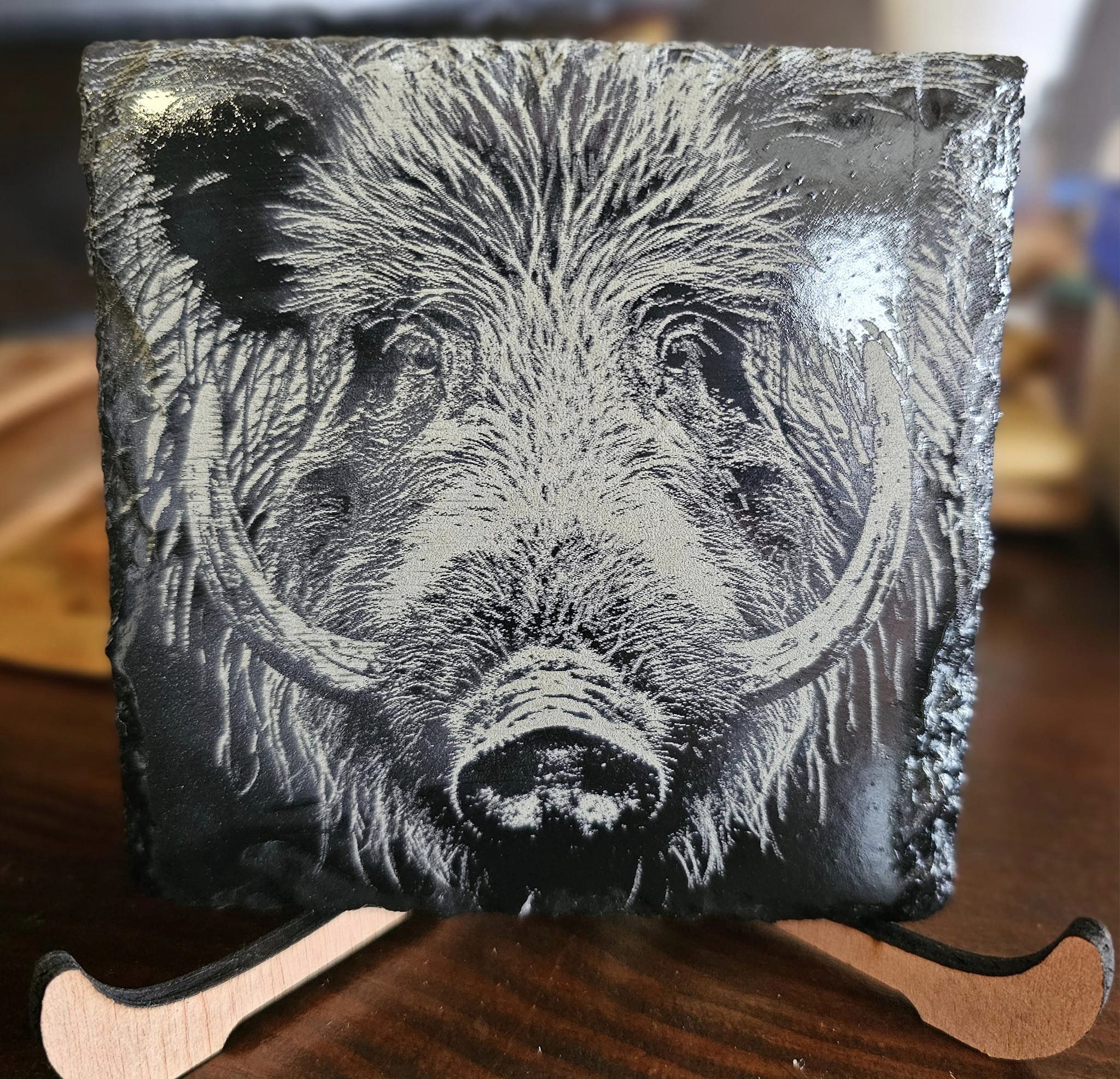 Highland Cow Slate Coasters (6-Pack) - Image 8