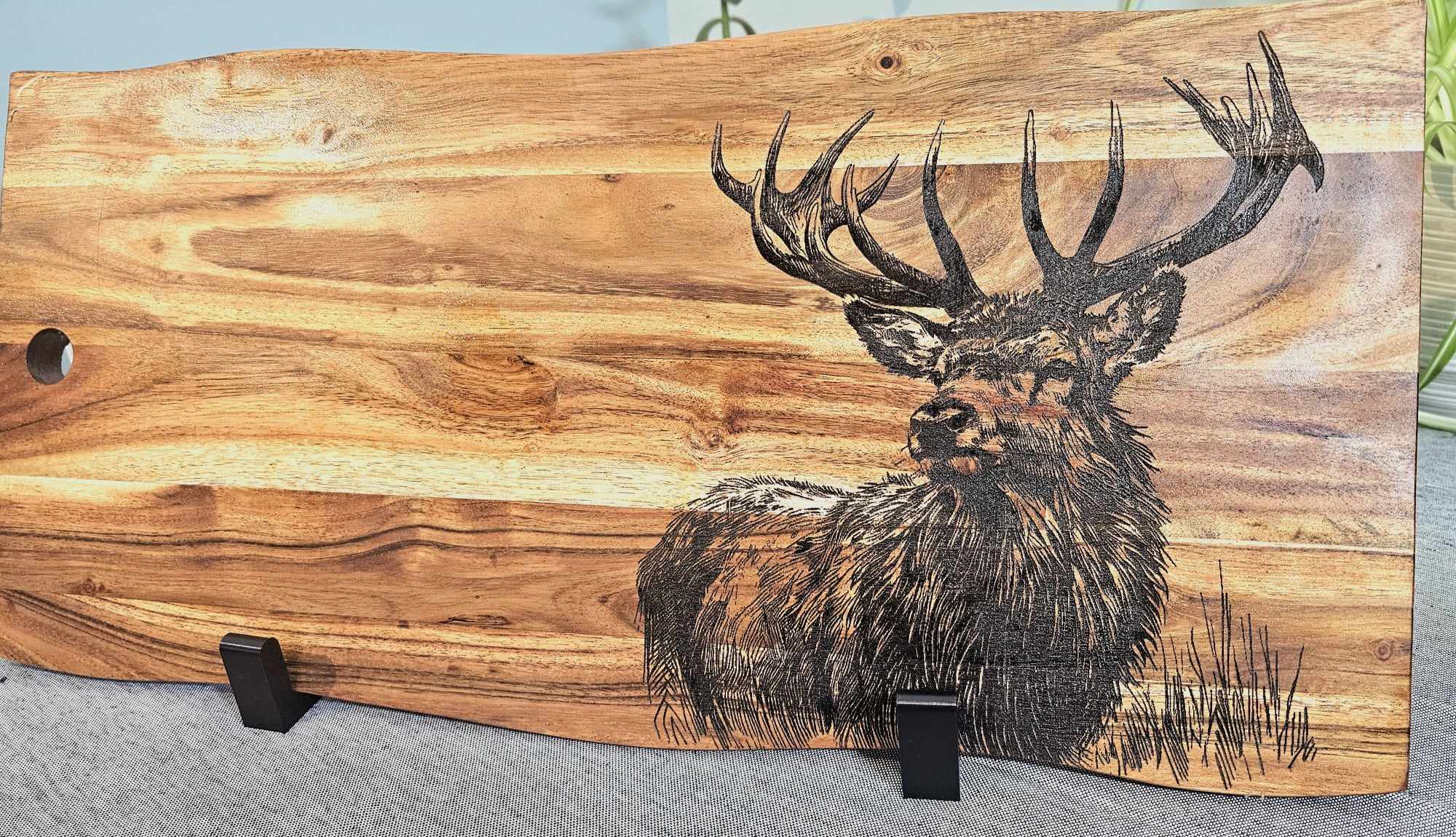 Deer