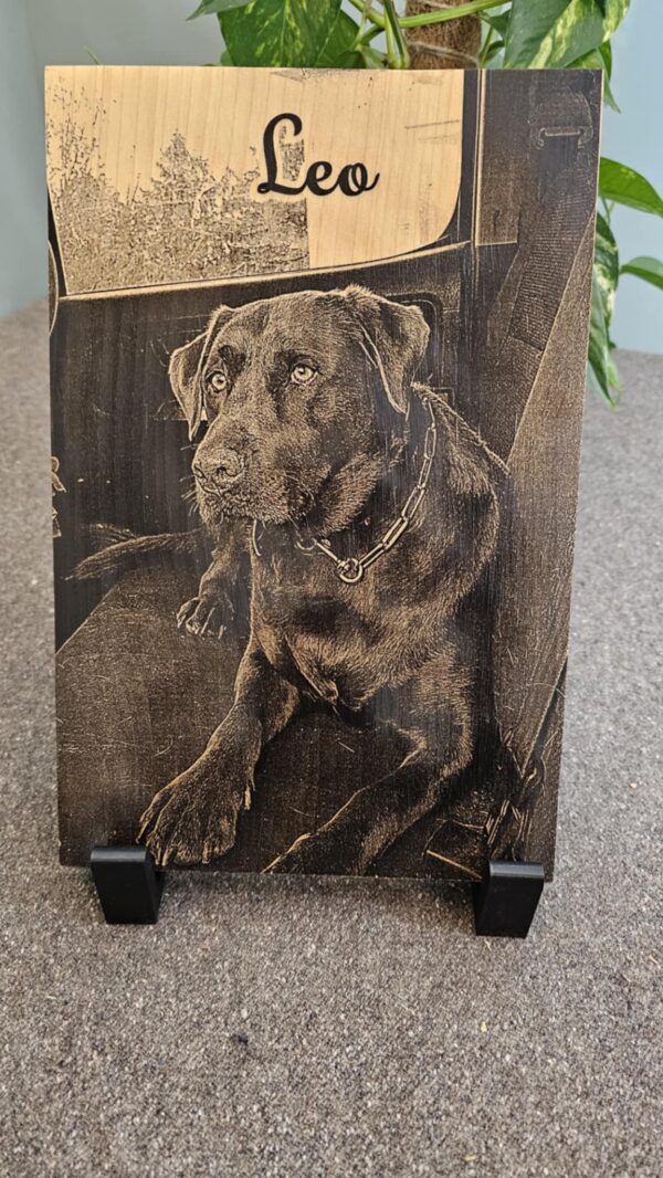 Custom Display Boards - Image 7