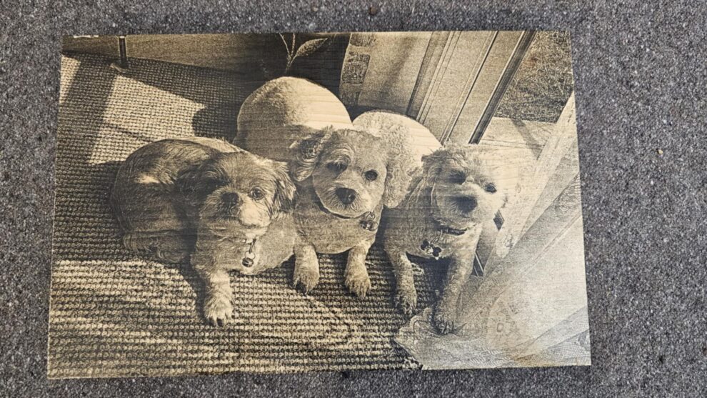 Custom Display Boards NZ | Personalised Photo Engraving – ASH Laser