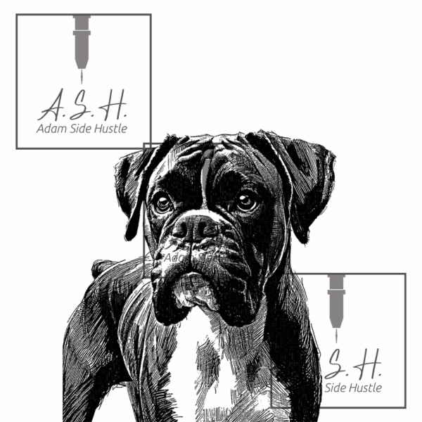 Boxer Head
