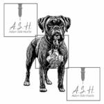 Boxer Standing