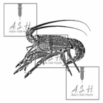 Kōura - Crayfish Tucked