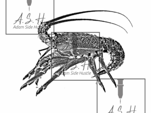Kōura - Crayfish Tucked