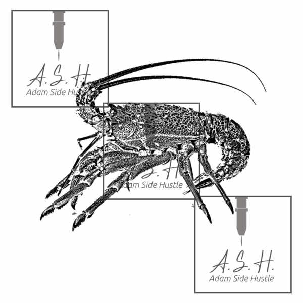 Kōura - Crayfish Tucked