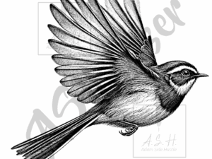 Pīwakawaka - Fantail Flying