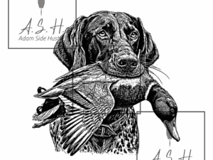 GSP Duck Dog