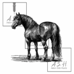 Hōiho - Horse Standing