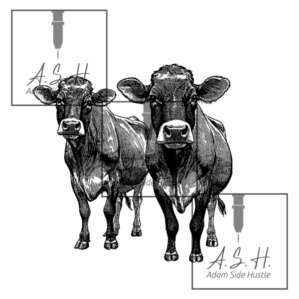 Jerseys