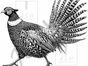 Pheasant