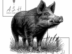 Poaka - Pig Standing