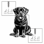 Short Hair Rotty Sitting