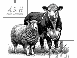 Sheep & Beefy