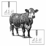 Single Hereford