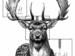Fellow Head