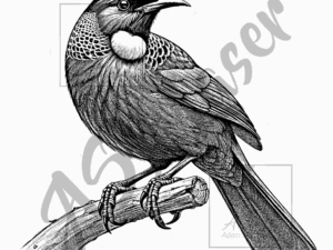 Tūī