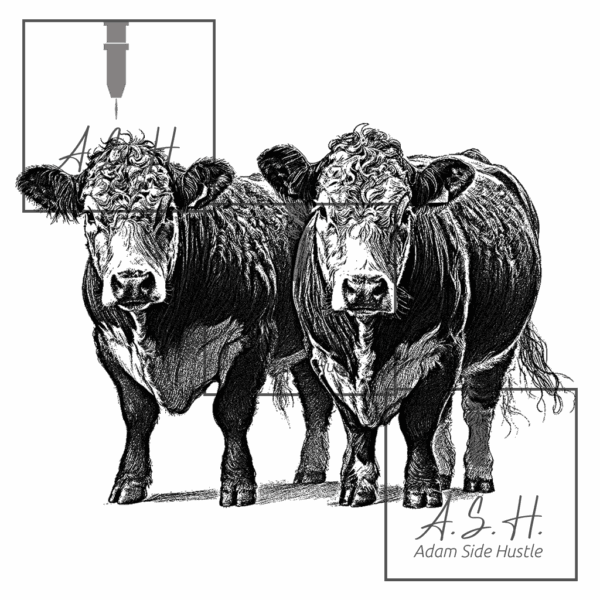 Two Hereford