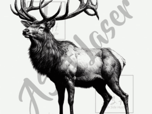 Wapiti Standing
