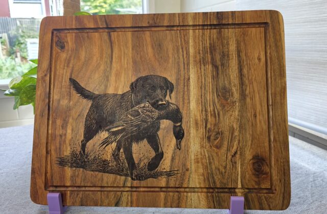 Kurī - Black Lab Duck Dog