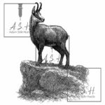 Chamois