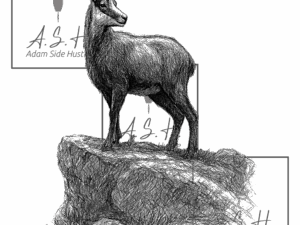 Chamois