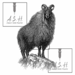 Tahr