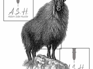 Tahr