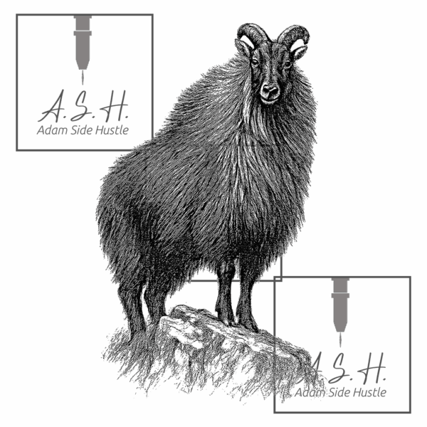 Tahr