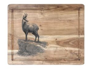Chamois