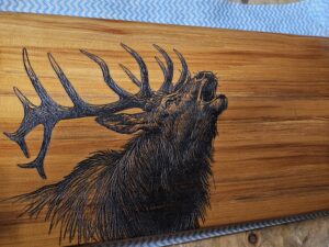 Roaring Stag