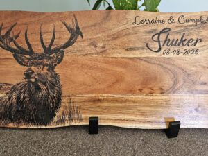 Sketchy Stag