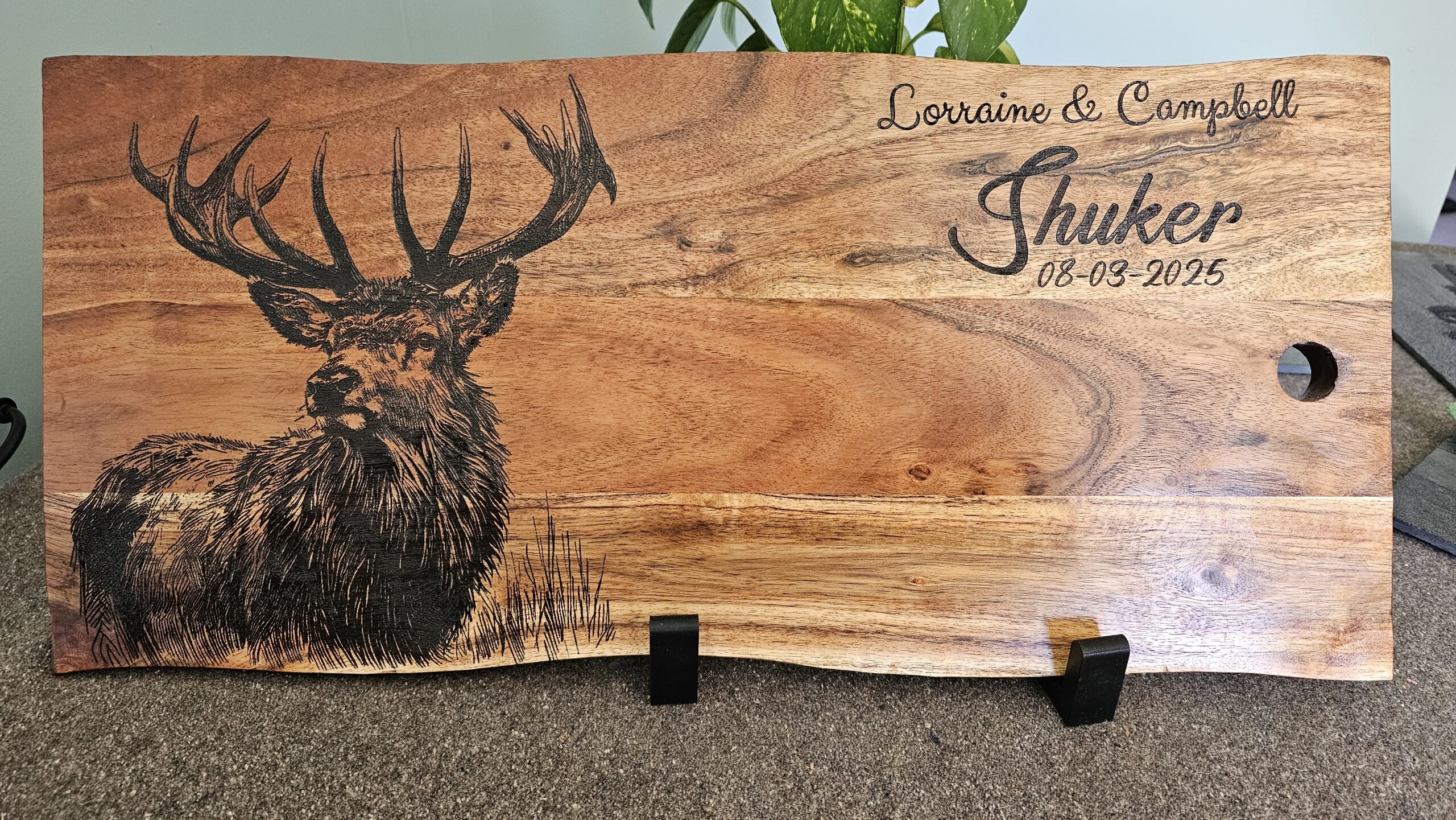 Sketchy Stag