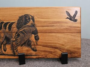 Spaniel Duck Dog